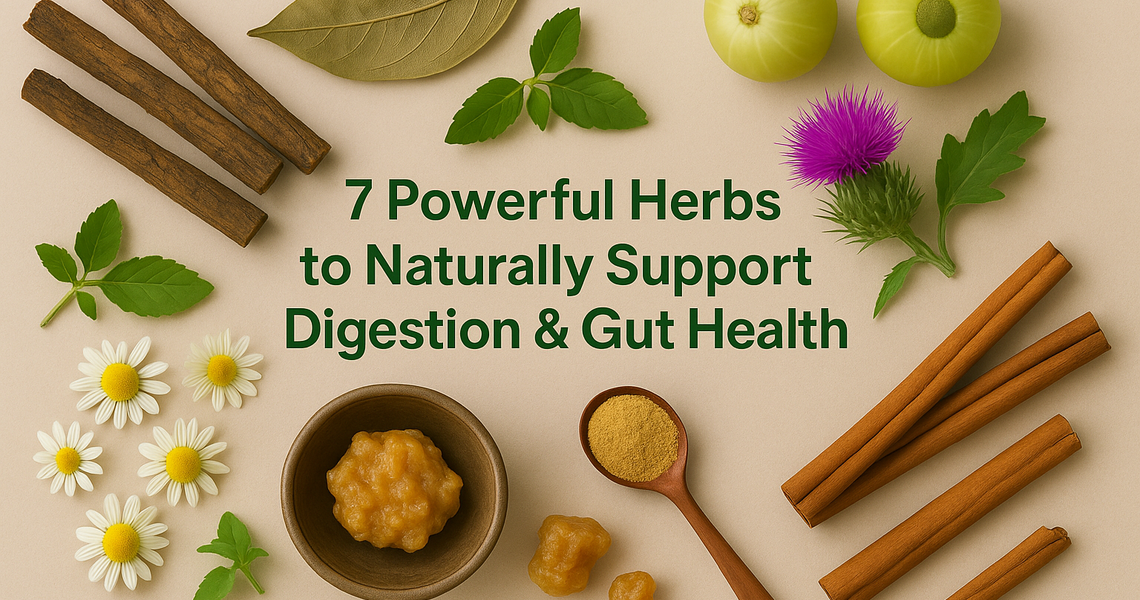 7 Powerful Herbs to Naturally Support Digestion & Gut Health