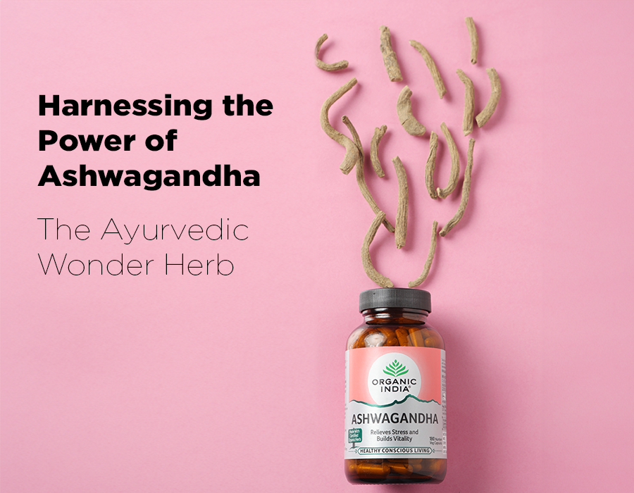 Harnessing the Power of Ashwagandha: The Ayurvedic Wonder Herb ...