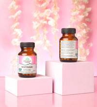 Shatavari 60 Capsule (Pack Of 2)
