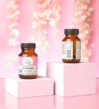 Shatavari 60 Capsule (Pack Of 2)