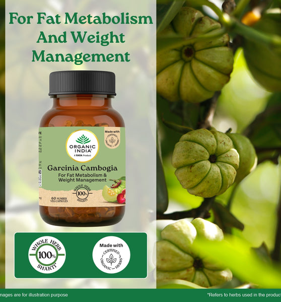 What medications should you not take with garcinia cambogia