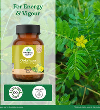 Gokshura benefits for male