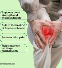 Osteoseal Organic India