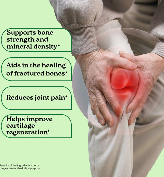 Osteoseal to Increase your Bone Strength