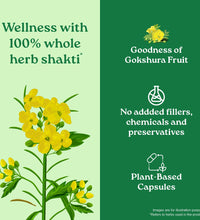 Gokshura Tablets benefits