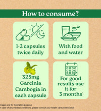 Garcinia Cambogia Mother tincture