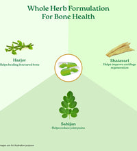 Osteoseal ingredients