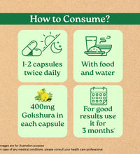 Best time to take Gokshura tablets