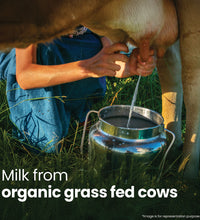 Organic Cow Ghee