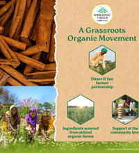 Recommended dosage of Ceylon cinnamon capsules
