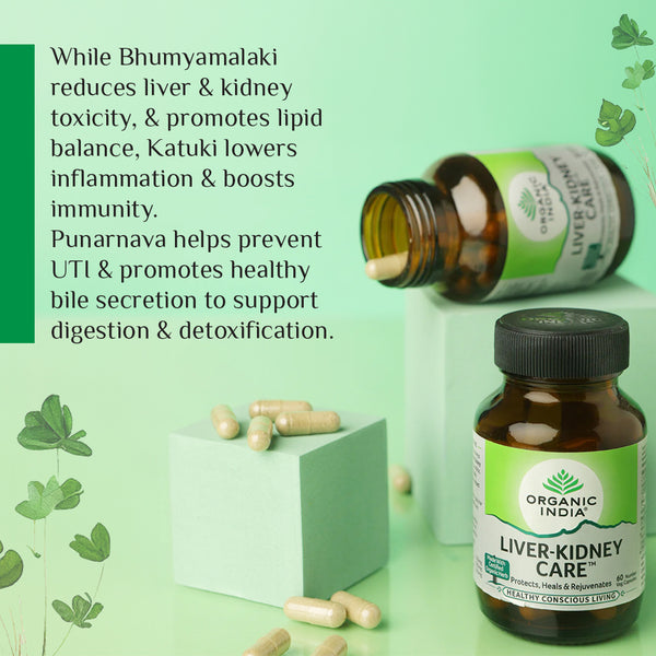 Kidney Support (120 veg caps) by LifeSeasons - IPM Supplements