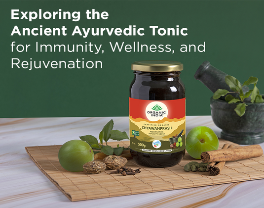 Chyawanprash: Exploring the Ancient Ayurvedic Tonic for Immunity, Wellness, and Rejuvenation