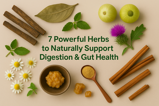 7 Powerful Herbs to Naturally Support Digestion & Gut Health