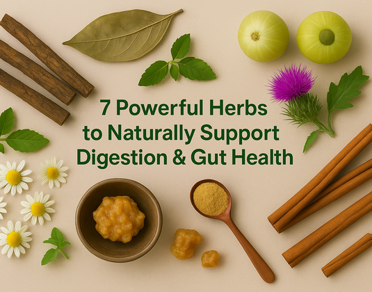 7 Powerful Herbs to Naturally Support Digestion & Gut Health