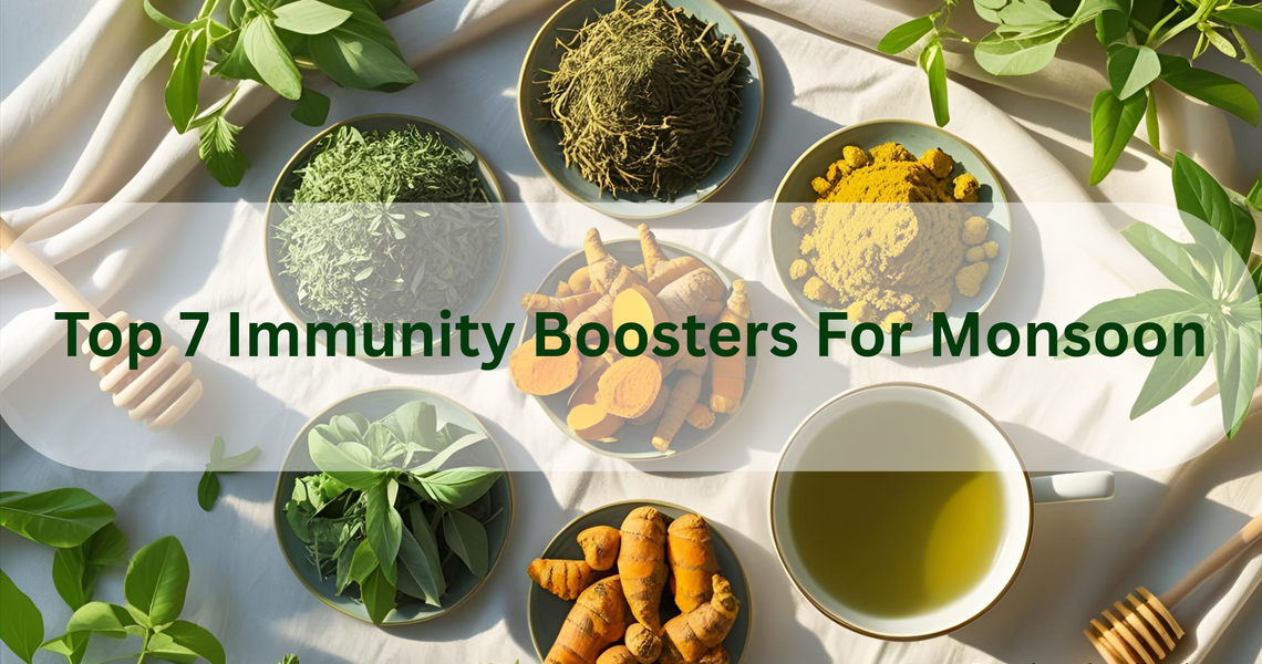 Top 7 Monsoon Immunity Boosters