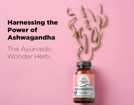 Harnessing the Power of Ashwagandha: The Ayurvedic Wonder Herb