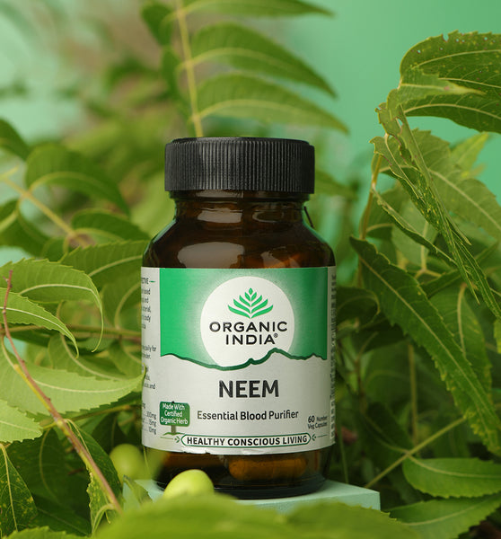 Neem for Easy Blood Cleansing