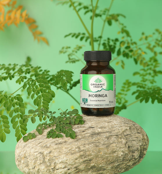 Moringa Capsule to embrace the goodness of Superfood