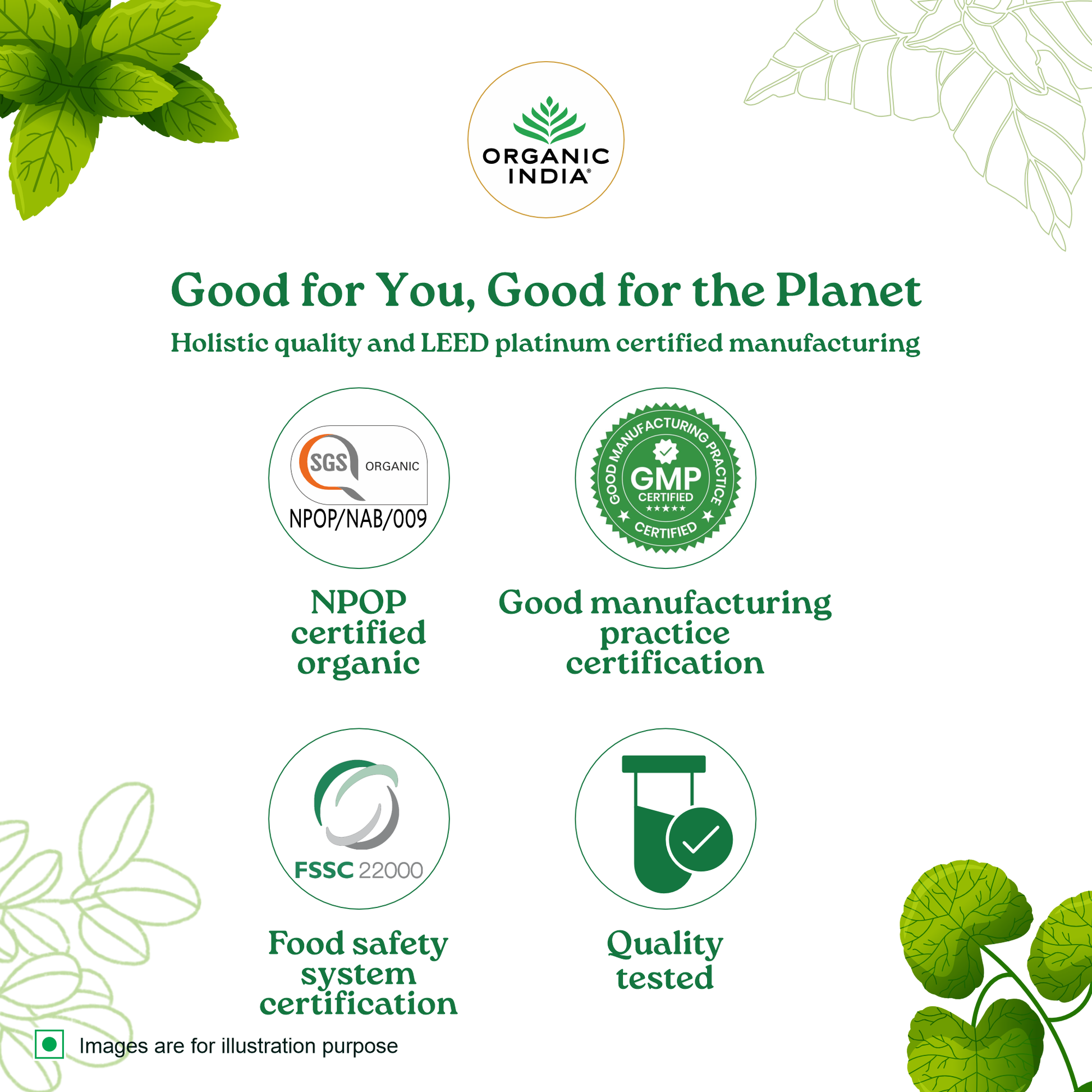 Detox Kahwa Green Tea