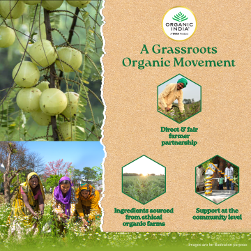 Simply Chamomile Tea