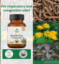 Breath Free Capsules