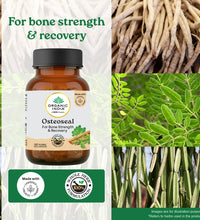 Osteoseal to Increase your Bone Strength