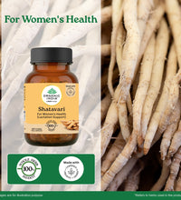 Shatavari to Unleash the Power of Natural Estrogens