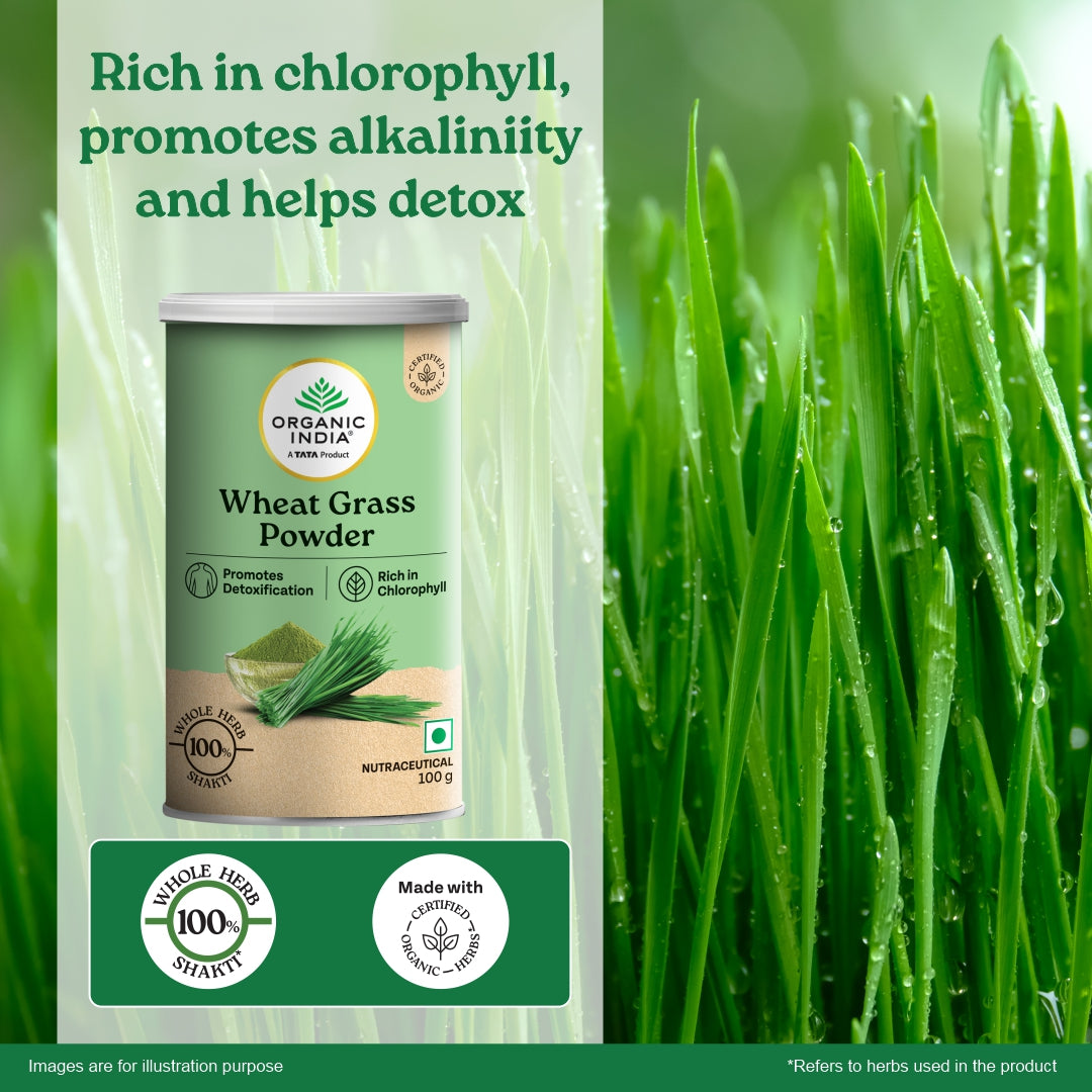 Wheatgrass Powder