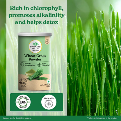 Wheatgrass Powder