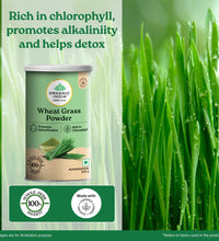 Wheatgrass Powder