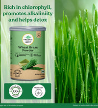 Organic Wheatgrass Powder