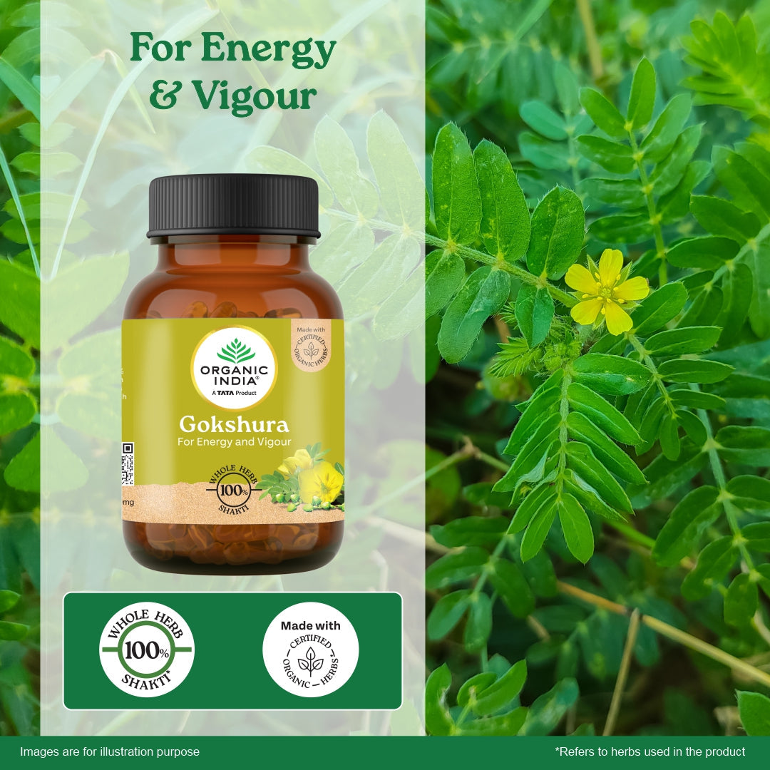 Gokshura Capsules