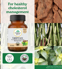 Lipid Care Capsules