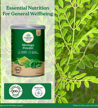 Moringa powder benefits for females