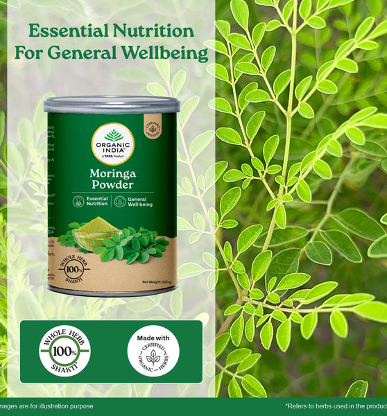 Moringa Powder to embrace the goodness of Superfood