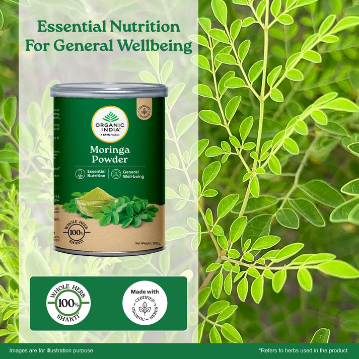 Organic Moringa Powder – Organic India
