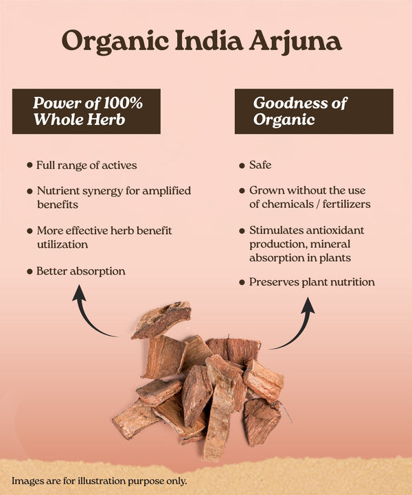 Ingredients Banner Mobile