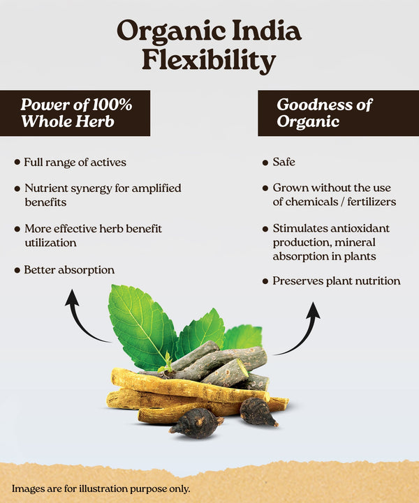 Ingredients Banner Mobile