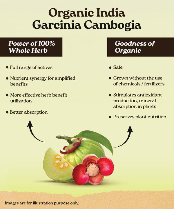 Ingredients Banner Mobile