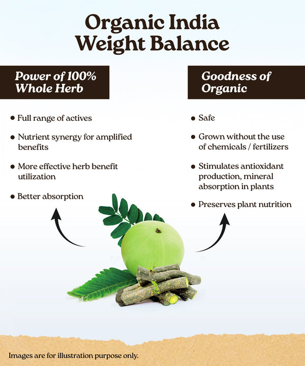 Ingredients Banner Mobile