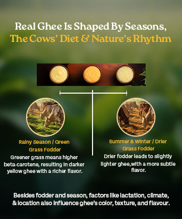 Ingredients Banner Mobile