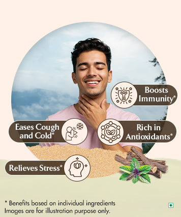 Ingredients Banner Mobile