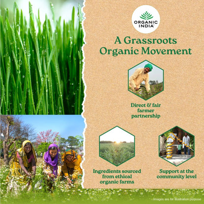 Wheatgrass powder uses