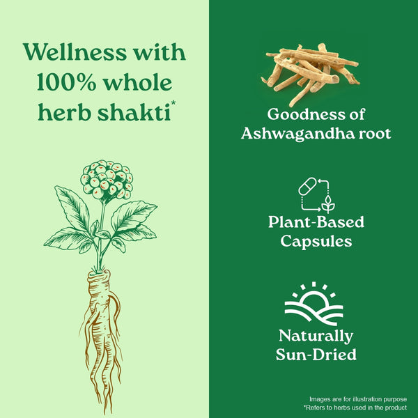 Ashwagandha Capsules – Organic India