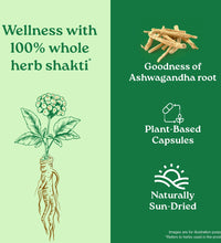 Ashwagandha for Increased Virility & Reduced Stress