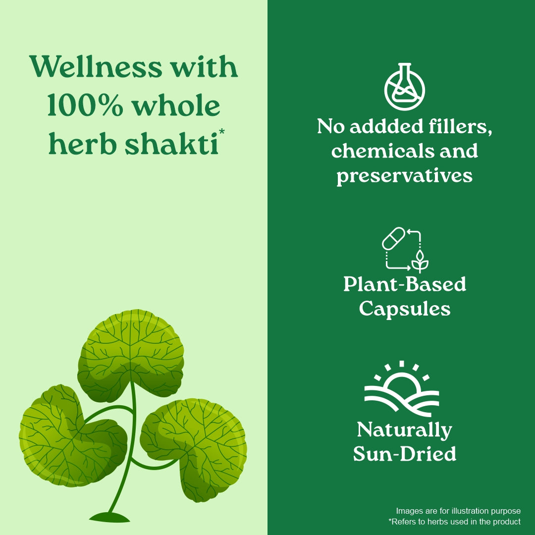 Brahmi capsules benefits