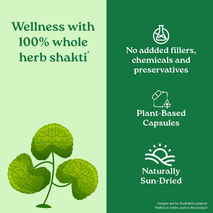 Brahmi capsules benefits