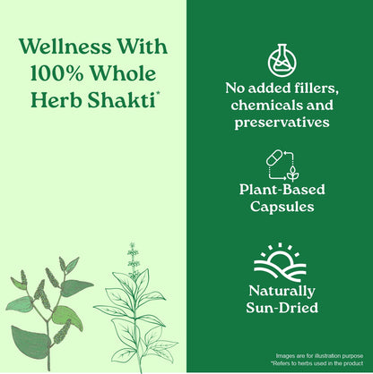 Breath Free Capsules