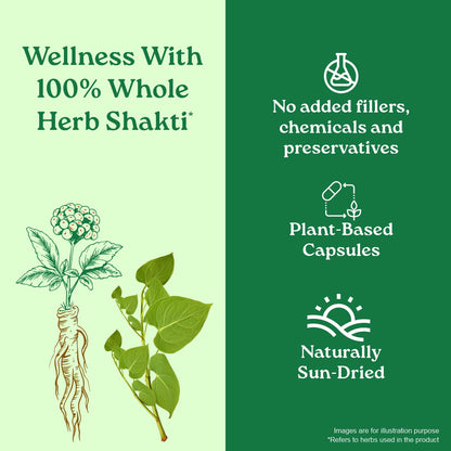 Flexibility Capsules