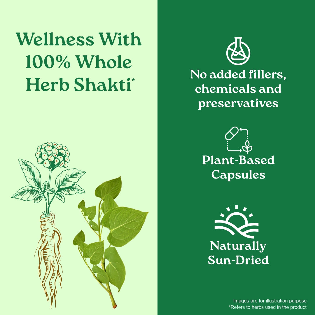 Flexibility Capsules